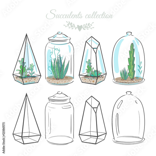 set of vector florariums