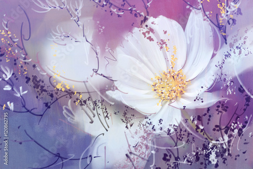 Obraz na płótnie Cyfrowy obraz olejny w stylu Cosmos Flower white.