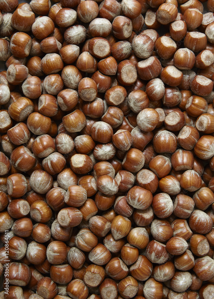 A full page of hazel nuts background texture A full page of hazel nuts background texture