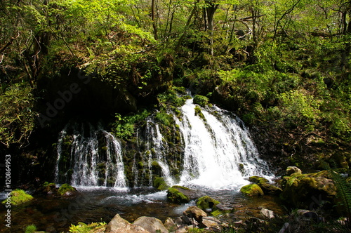 鳥海山元滝伏流水