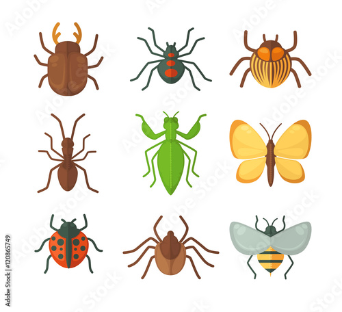 Set of various insects. Vector illustration
