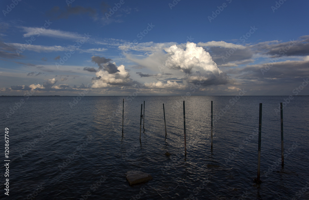 Fototapeta premium Holenderskie poldery