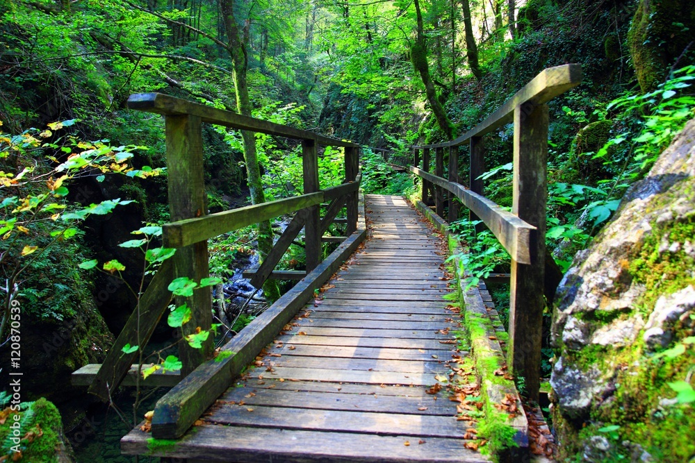Wooden bridge over river Wooden bridge over river