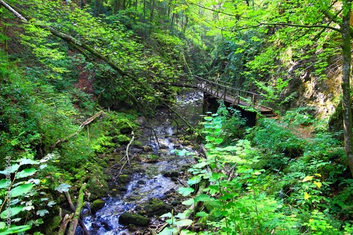 Wooden bridge in Kamacnik canyon  Croatia