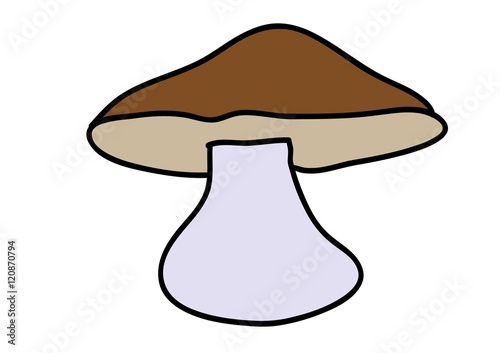 grzyb