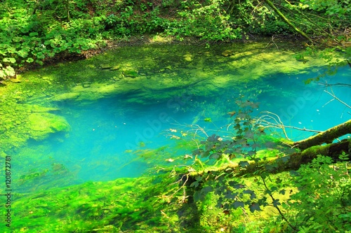 Turquoise color of Kamacnik river spring  Croatia