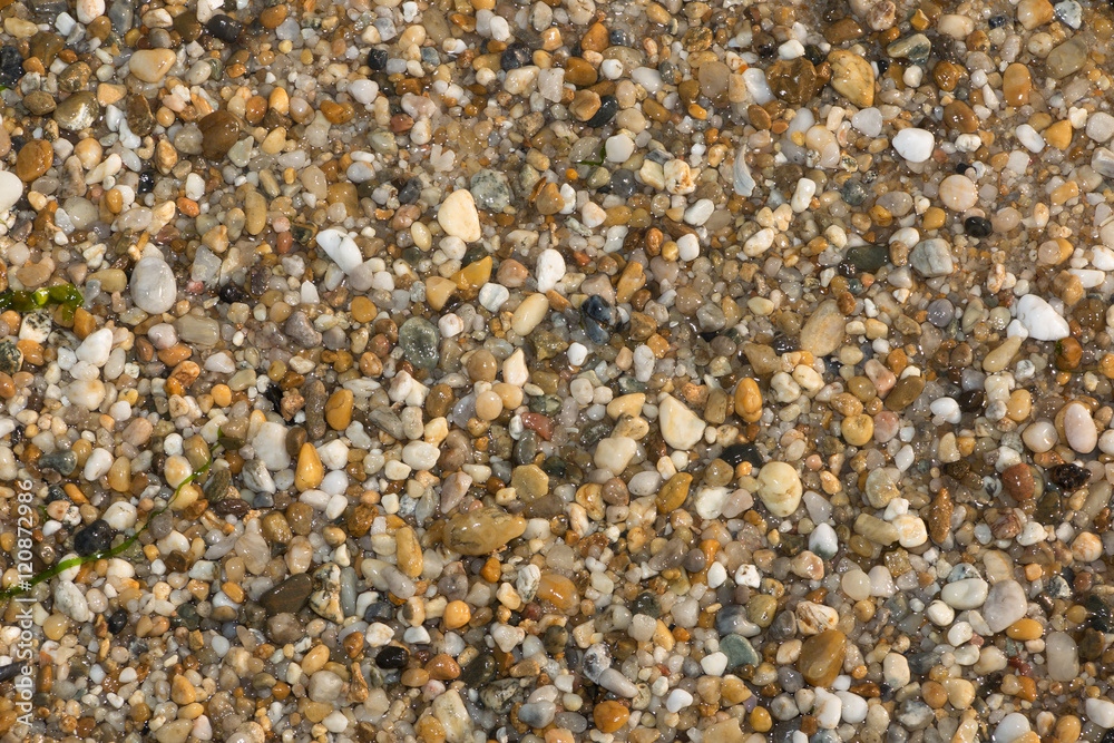 abstract background with dry round reeble stones abstract background with dry round reeble stones
