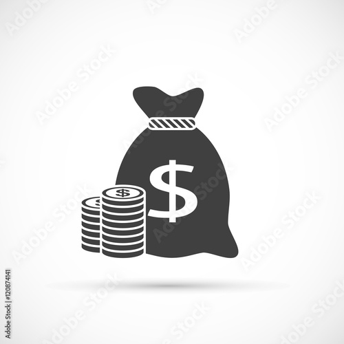 Money bag with coins icon