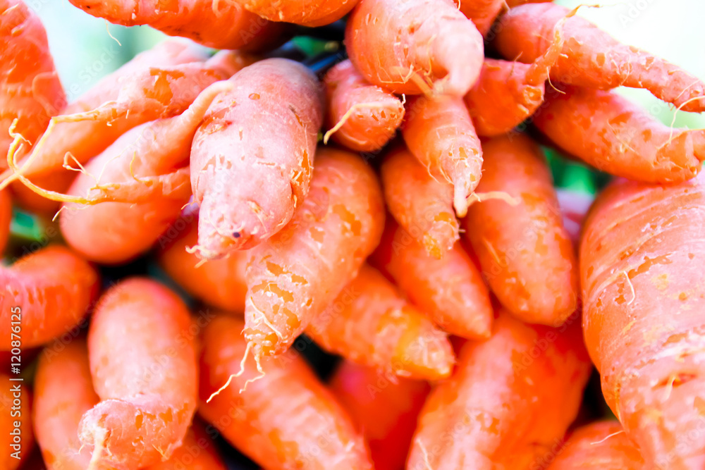 Organic vegetables.Fresh carrots in the market.Freshly harvested