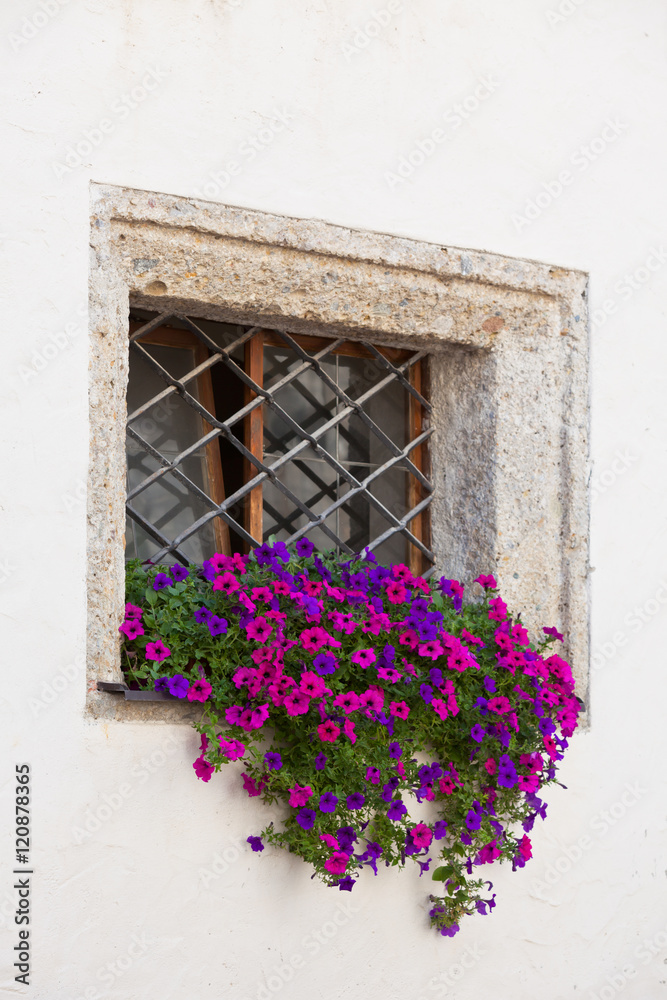 Window with colorful flowers on a white wall Window with colorful flowers on a white wall