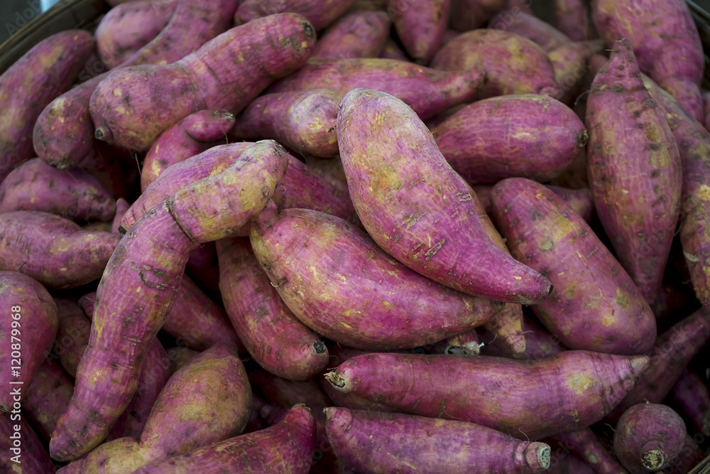 Fresh Japanese potatoes at a farmers market - selective focus. Fresh Japanese potatoes at a farmers market - selective focus.