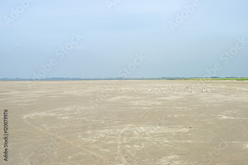 Fototapeta Naklejka Na Ścianę i Meble -  Strand in St. Peter-Ording 