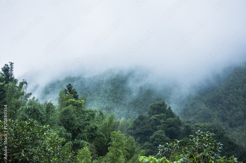 Mountains scenery in the rain and mist Mountains scenery in the rain and mist
