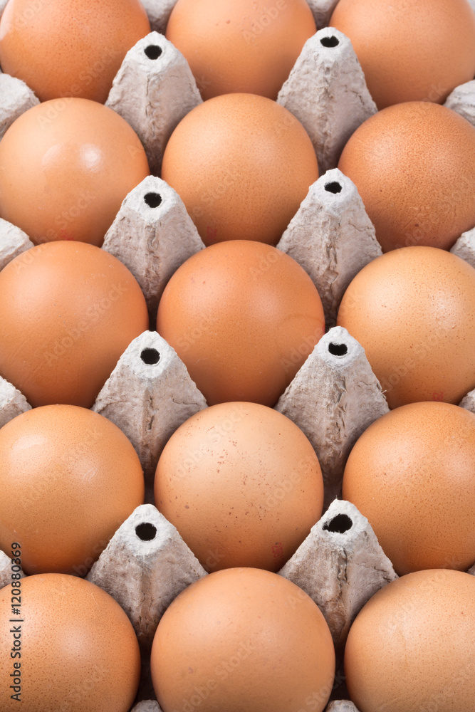 Eggs in the paper tray Eggs in the paper tray