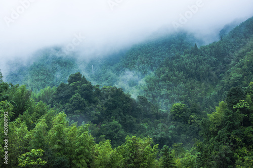 Mountains scenery in the rain and mist