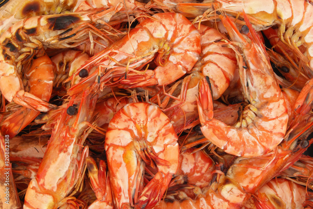 Grilled shrimp background, many fresh bbq shrimps together Grilled shrimp background, many fresh bbq shrimps together