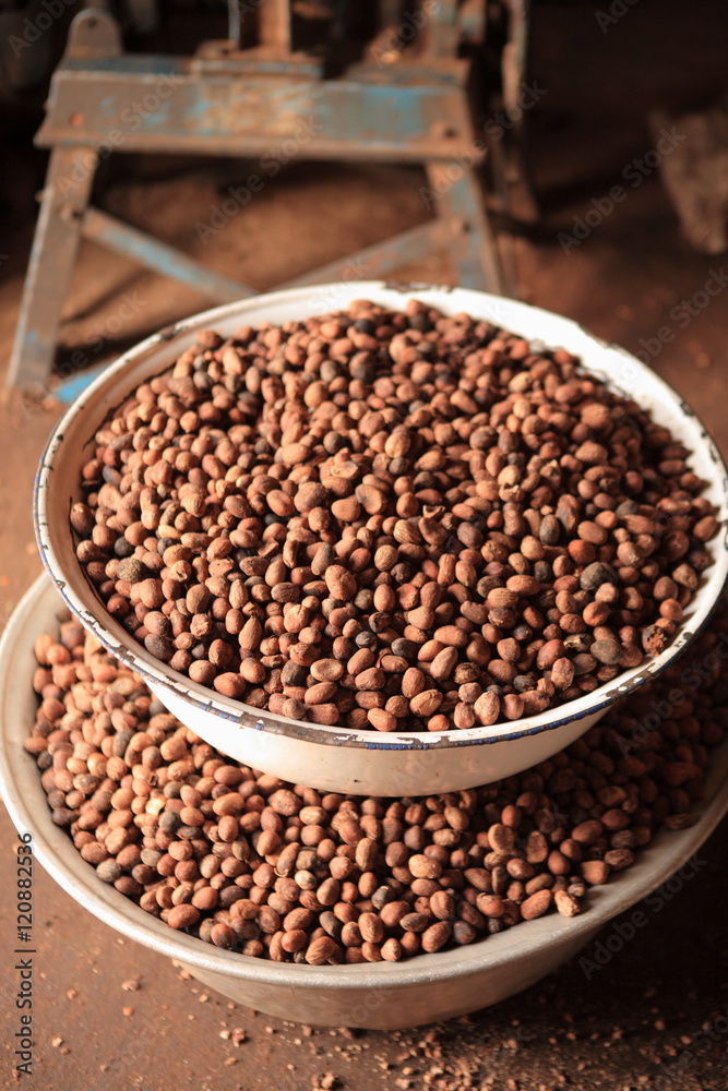 Seeds of shea tree Mubanayili Gana Seeds of shea tree Mubanayili Gana