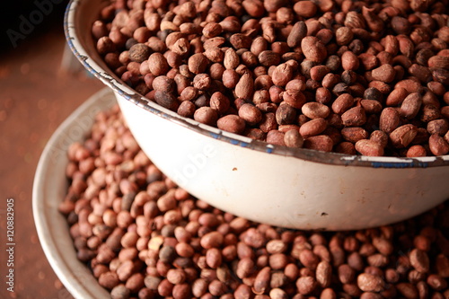 Photos Seeds of shea tree Mubanayili Gana