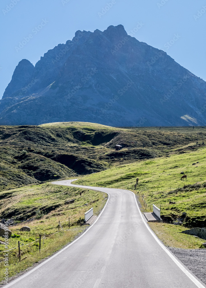 Naklejka premium country road