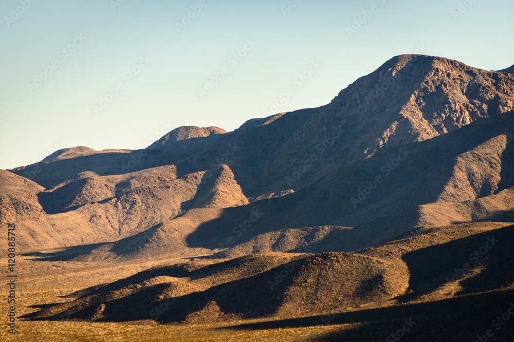 Naklejka premium Joshua Tree National Park