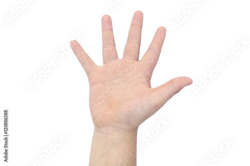 Boy's hand on white background