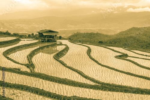  rice terraces In the rural mountain