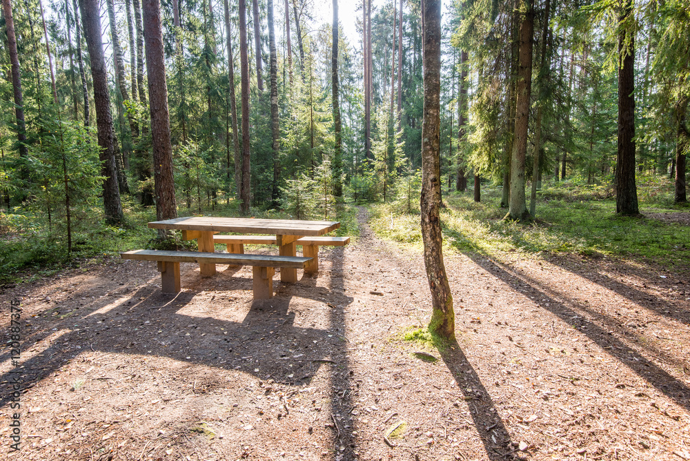 sunny tourist trail in the woods in autumn sunny tourist trail in the woods in autumn