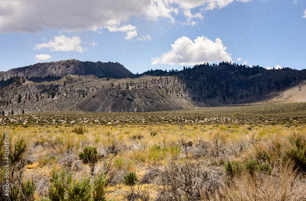 Mono-Inyo Craters