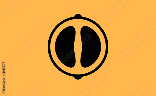 Vector madarin icon on flat background photo