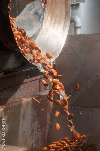 Shelled almonds just after the blanching process ready for the peeling phase photo