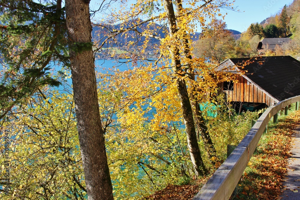 At lake Wolfgangsee in autumn, Austria, Europe. On a walk along the lake. At lake Wolfgangsee in autumn, Austria, Europe. On a walk along the lake.