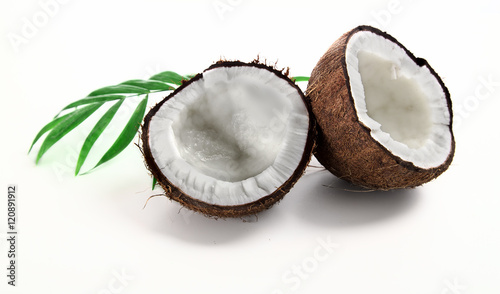 Coconuts with green palm leaf on a white background.