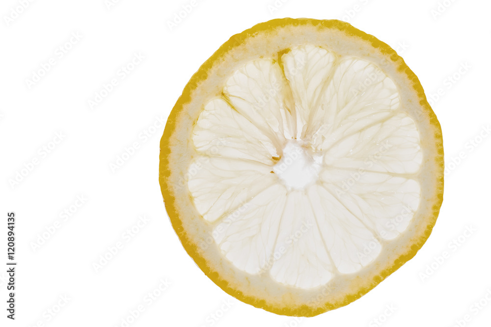 lemon slice lemon slice