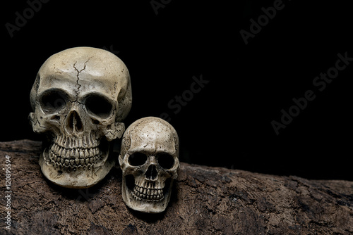 Still life awesome couple human skulls on the timber
