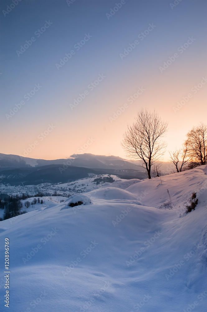 tree on mountain high on sunrise