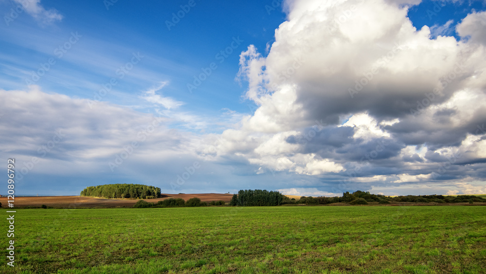 Obraz premium сельское поле после убранного урожая Россия, Урал, Сентябрь