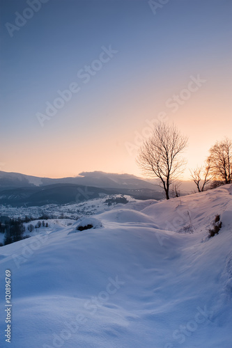 tree on mountain high on sunrise © ver0nicka
