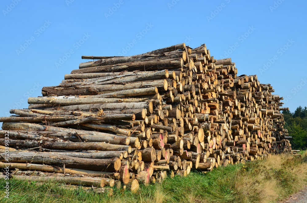 Feuerholz Brennholz Baumstämme lagern in der Natur Feuerholz Brennholz Baumstämme lagern in der Natur