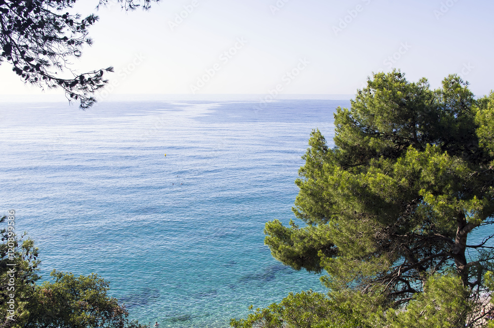 Beautiful landscape of the sea coast.