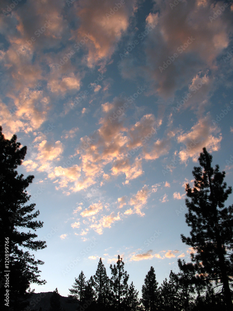 Vertical Clouds and Trees/Pink and blue clouds during sunset in Lake Tahoe