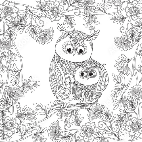 Coloring book for adult and older children. Coloring page with owl in decorative frame