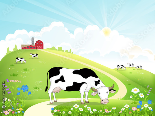 Dairy farm and a herd of cows on a beautiful summer landscape. Cow eating grass. Vector illustration.