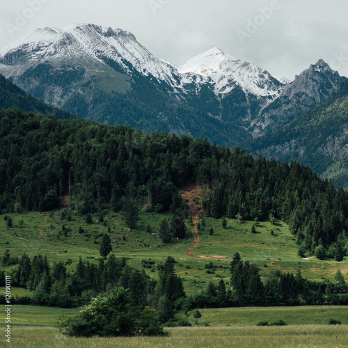 Landscape of Slovenian Alps. Instagram filter.