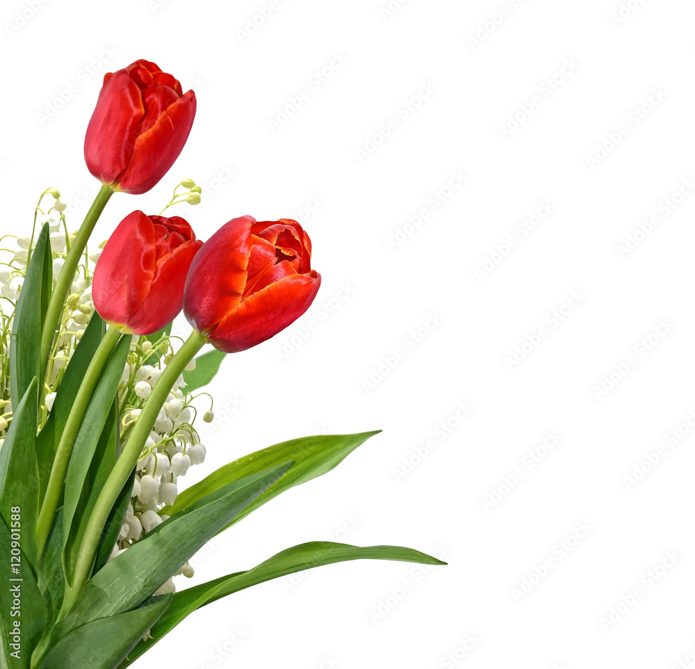 The branch of lilies of the valley flowers isolated on white bac The branch of lilies of the valley flowers isolated on white bac