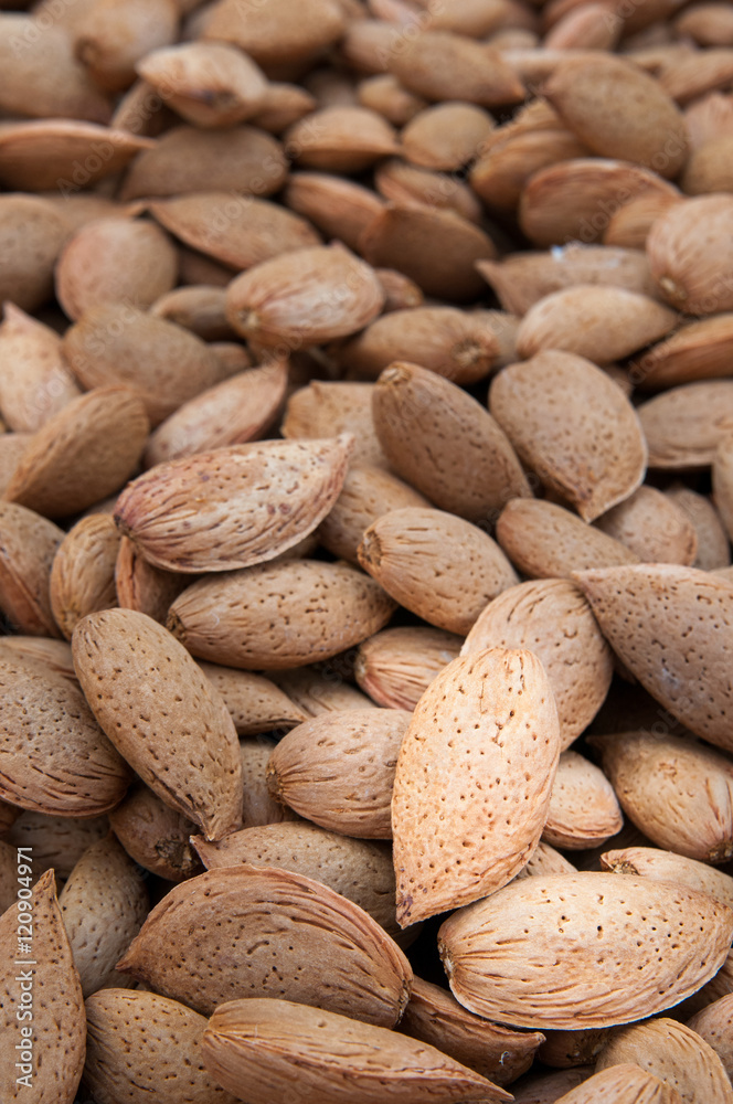 Obraz premium Close-up view of some just picked almonds of the variety called Pizzuta