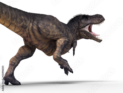 3D rendering of Tyrannosaurus Rex dominating the land  isolated on white background.