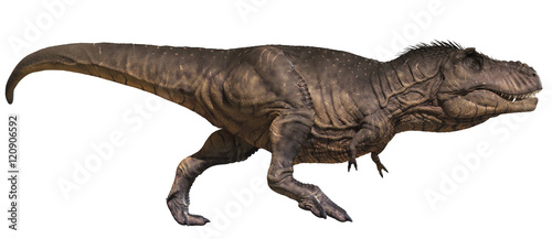 3D rendering of Tyrannosaurus Rex running  isolated on white background.