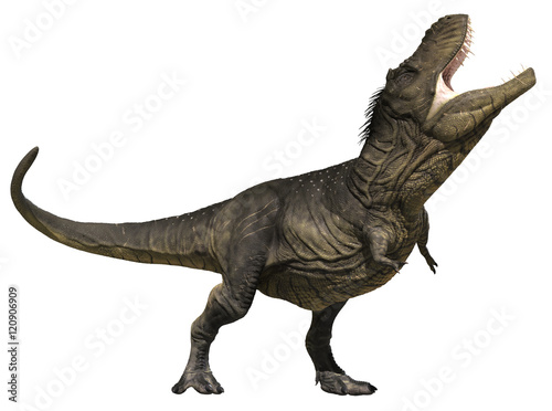 3D rendering of Tyrannosaurus Rex is king  isolated on white background.