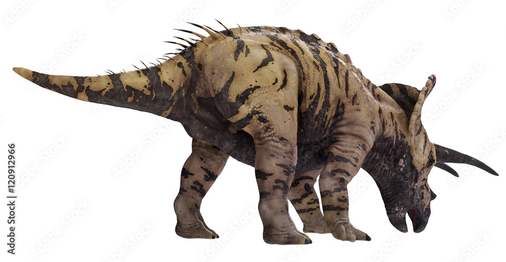 3D rendering of Triceratops feeding, isolated on white background. 3D rendering of Triceratops feeding, isolated on white background.