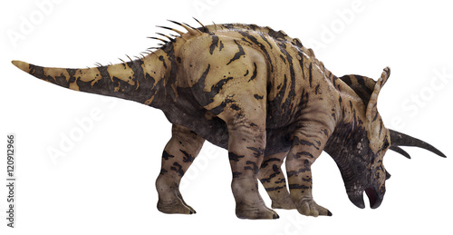 3D rendering of Triceratops feeding, isolated on white background.